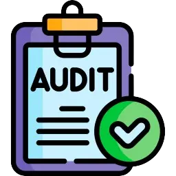 Expert Audit & Assurance Services