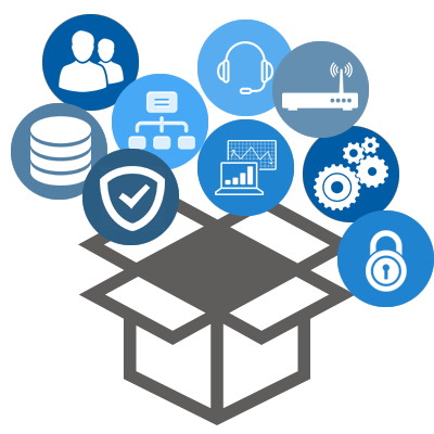 Professional IT Services for Businesses