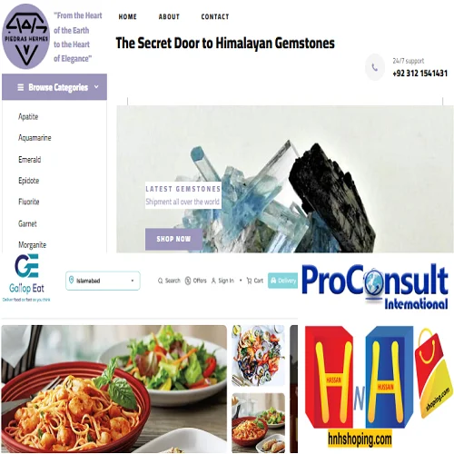 Explore Premium E-Commerce Websites