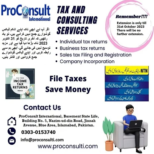 Comprehensive Tax and Consulting Services for Your Business